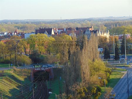 Toruń, Mokre, Toruń - Zdjęcie 5