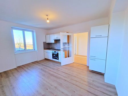 Ihr Erstbezug im 1. OG: Frisch saniertes 3-Zimmer-Juwel in Top-Pendlerlage bei Premstätten! - Foto 2