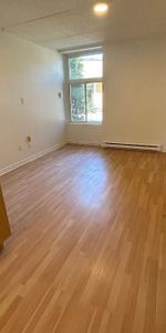 Studio - Saint-Charles-Borromée - $1,049 /mo - Photo 3