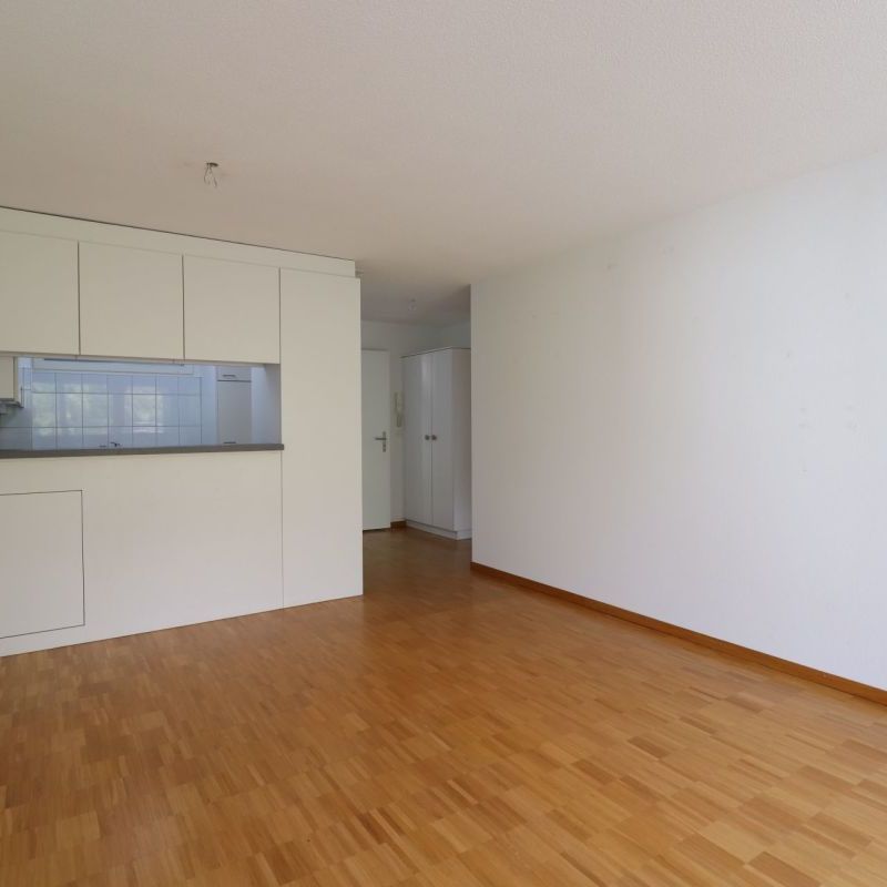 Wasserwerkstrasse - schöne moderne 2 1/2 Zimmer-Wohnung im 1.OG - Photo 1