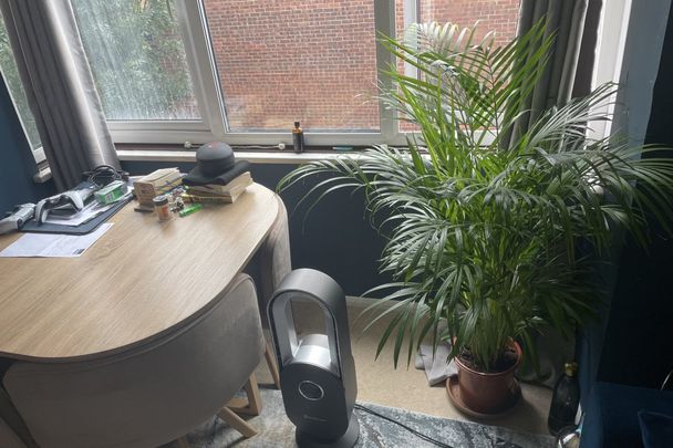 Greyhound Road - Photo 1