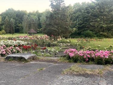 Pokój, ul. Bolesława Chrobrego - Фото 5