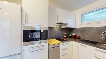 Lovely bright T2 near Vitam Parc and Bardonnex customs - Neydens - Photo 3