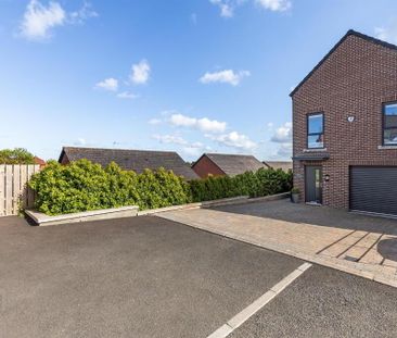 21 Milecross Manor, Belfast Road, Newtownards, BT23 4ZW - Photo 3