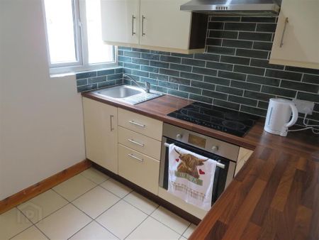 167 Union Street, Lurgan, BT66 8EQ - Photo 5