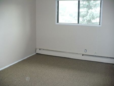 Pet Friendly 2 Bedroom Unit with In-Suite Laundry!! - Photo 4