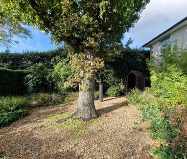 2 bedroom detached house to rent - Photo 3
