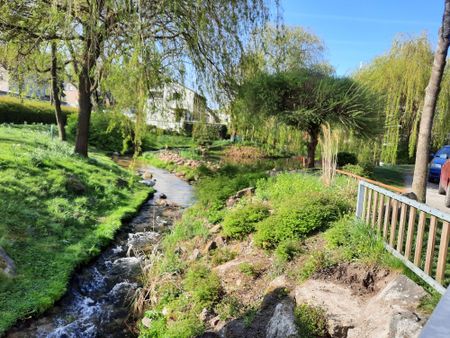 Single Appartement mit Balkon am Rethlager Mühlenteich zu vermieten - Foto 5