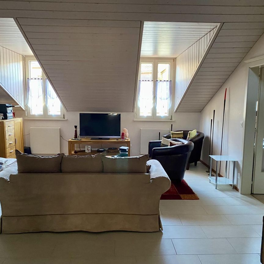 Charming accommodation in the heart of the Grand-Rue and a stone's throw from the lake - Foto 1