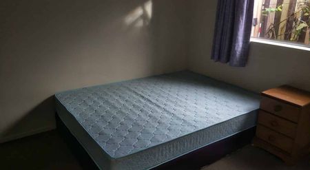 Studio Apartment in heart of Royal Oak - Photo 3