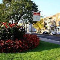 4 1/2 TOUT RÉNOVÉ, CHAUFFAGE ET EAU CHAUDE INCLUS, DISPONIBLE MAINTENANT - Photo 3