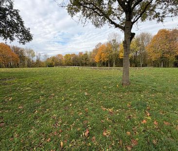 2 bedroom maisonette to rent - Photo 3