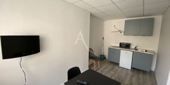 Location Appartement 1 pièce 23m² - Photo 3