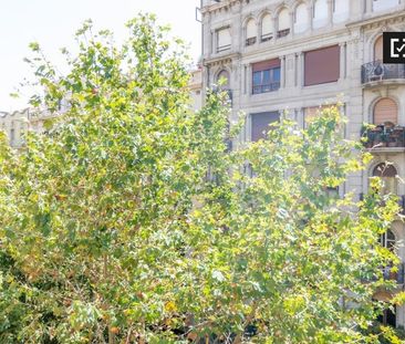 barcelona, Catalonia 08011 - Photo 3