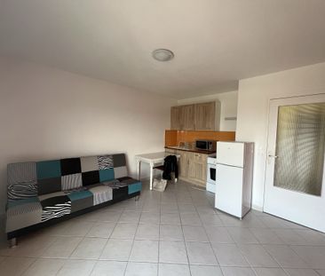 Location Appartement 1 pièce 21m² SENS 89100 - Photo 2