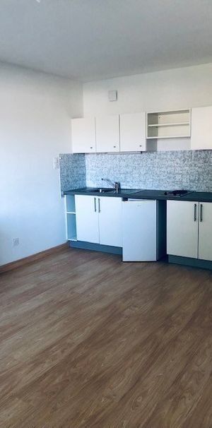 Location Appartement 1 pièce 25m² CHATEAUBRIANT 44110 - Photo 1