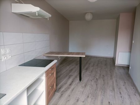 Location Appartement 1 pièce 36m² CHARLIEU 42190 - Photo 3