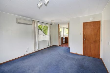 Unit B, 21 Woodhaugh Street, Woodhaugh, Dunedin - Photo 4