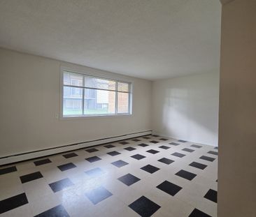 Chateau Laurier Apartments– 102 104th Street - Photo 5