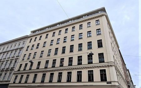 SALZTORGASSE, DONAUKANAL-NÄHE, 52 m2 Neubau mit Stehbalkon, 2 Zimmer, Komplettküche, Wannenbad, Parketten, Fernblick - Photo 3
