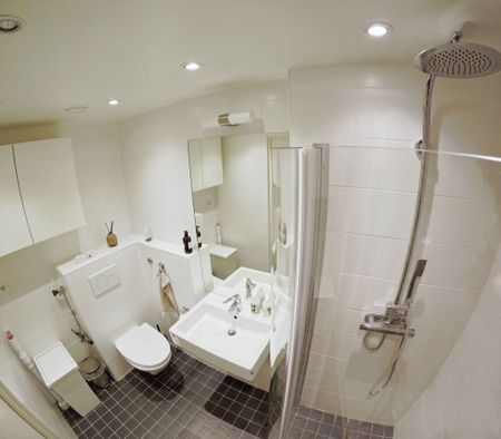 Jungfrudansen, Solna - Foto 3