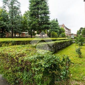 Monolocale in affitto - Photo 3