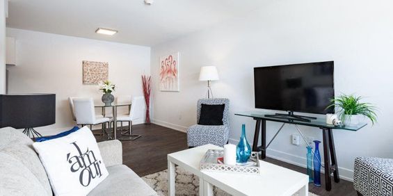 1 Bedroom, Large - 420 Blvd Cité Des Jeunes, Gatineau - Photo 3