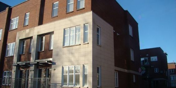Appartement Ville-Marie (Centre-Ville, Vieux-Montréal) À Louer - Photo 3