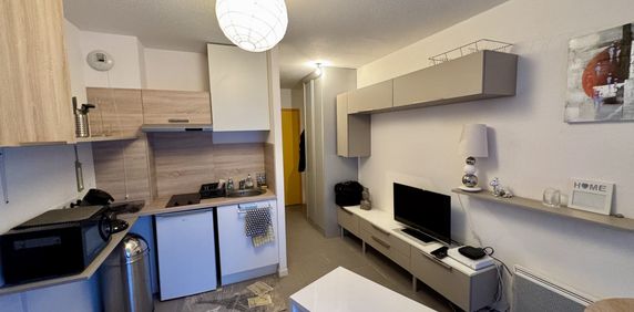 Location Appartement 1 pièce 18m² ALBI 81000 - Photo 2