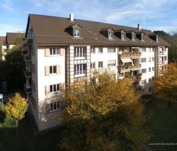 3 Zimmer, 58 m², 4. Stock - Foto 3