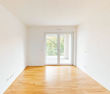 Gemütliche 2-Zimmer-Wohnung mit EBK und Duschbad - Photo 1