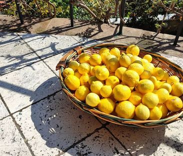 Pronájem luxusní třípodlažní vily v Toskánku, Itálie - Photo 6