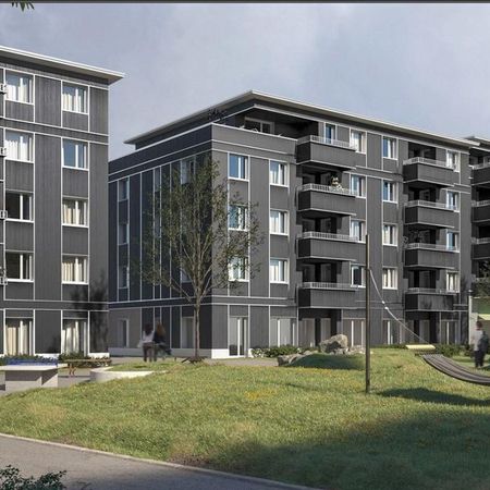 2.5-room apartment for rent in Ballwil - Foto 3