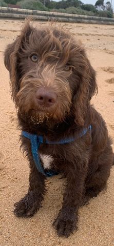 Elwood - Photo 5