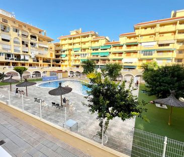 NEWLY RENOVATED STUDIO - LA MATA - Photo 4