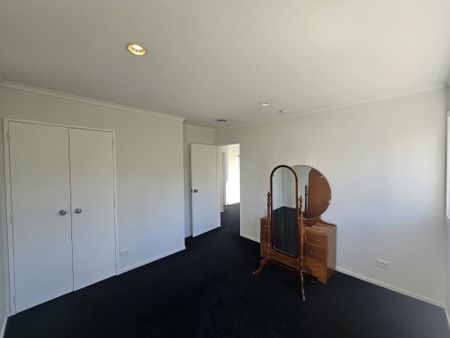 Move Into Miro - Mt Maunganui - Photo 5