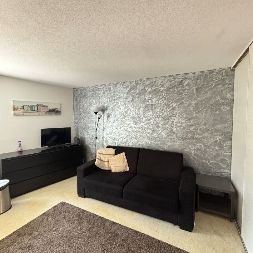 Location Appartement 1 pièce 20m² - Photo 1