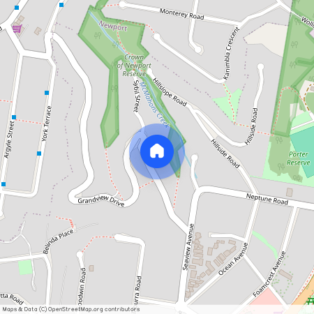 20 Grandview Drive, Newport NSW 2106