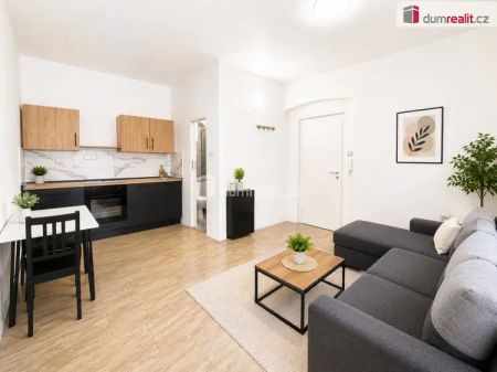 Pronájem bytu 1+kk, 21 m - Fotografie 3