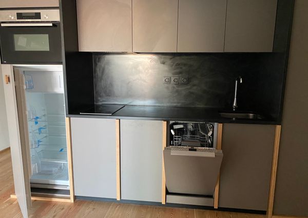 Apartamento T1 para Arrendar Mobilado e Equipado na Campanhã