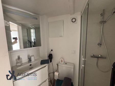 Location Appartement 1 pièce 15m² TOULOUSE 31000 - Photo 4