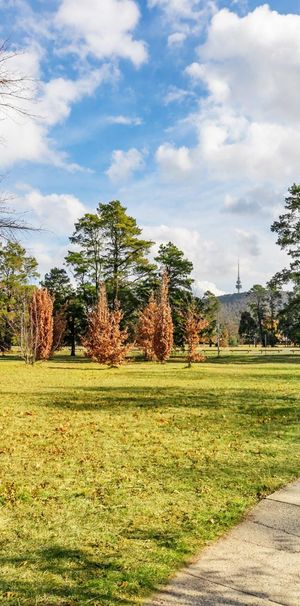 Hop, skip and a tram ride away… - Photo 1