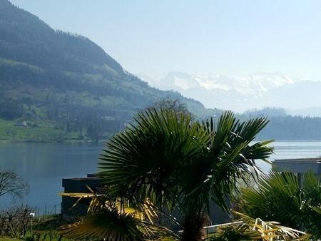 2-ROOM APARTMENT IN MERLISCHACHEN (SZ), FURNISHED, TEMPORARY - Photo 4