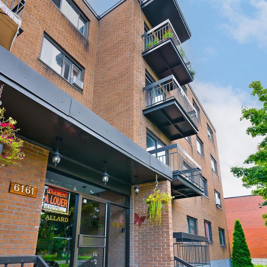 1 Bedroom 1 Bathroom - 6161 Boulevard LaSalle, Montréal - Photo 1