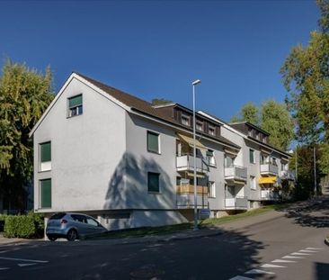 Votre nouvelle maison à Riehen - Photo 2