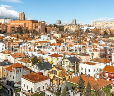 Madrid Capital - Photo 6