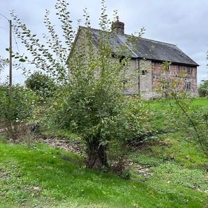 3 bedroom detached house to rent - Photo 3