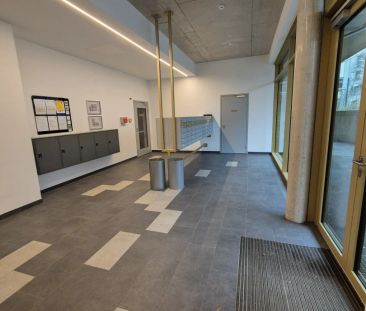 Schöne und moderne 2-Zimmer-Wohnung mit westseitigem Balkon - unmit... - Photo 4