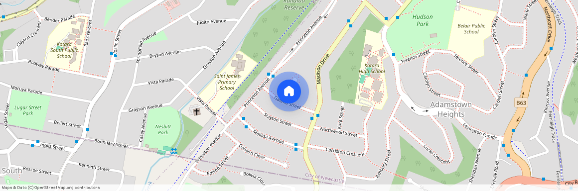 12 Galena Street, Adamstown Heights NSW 2289