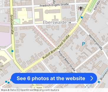 Charmante 2,5-Zimmer-Altbauwohnung in zentraler Lage von Eberswalde - Photo 1